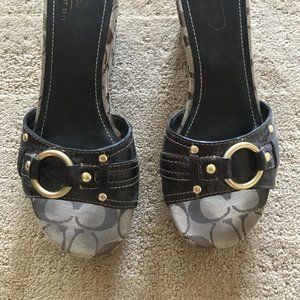 Coach 3" Brown Platform Sandals